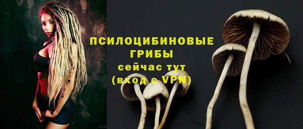 ECSTASY Бронницы