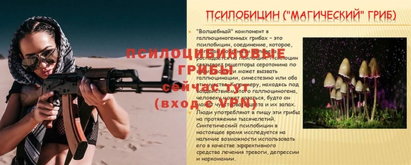 ECSTASY Бронницы